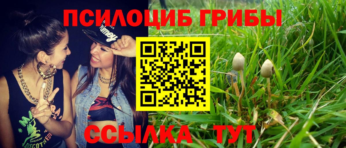Псилоцибиновые грибы прущие грибы  Вход с VPN  Ефремов 